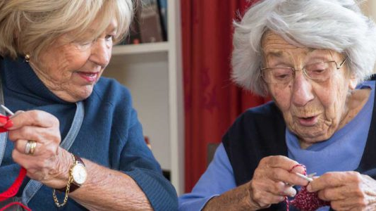 huiskamerbegeleiders